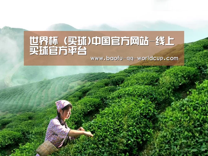 世界杯（买球)中国官方网站-线上买球官方平台