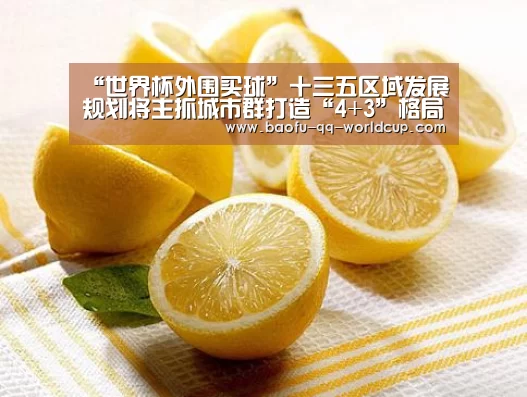 世界杯买球网站