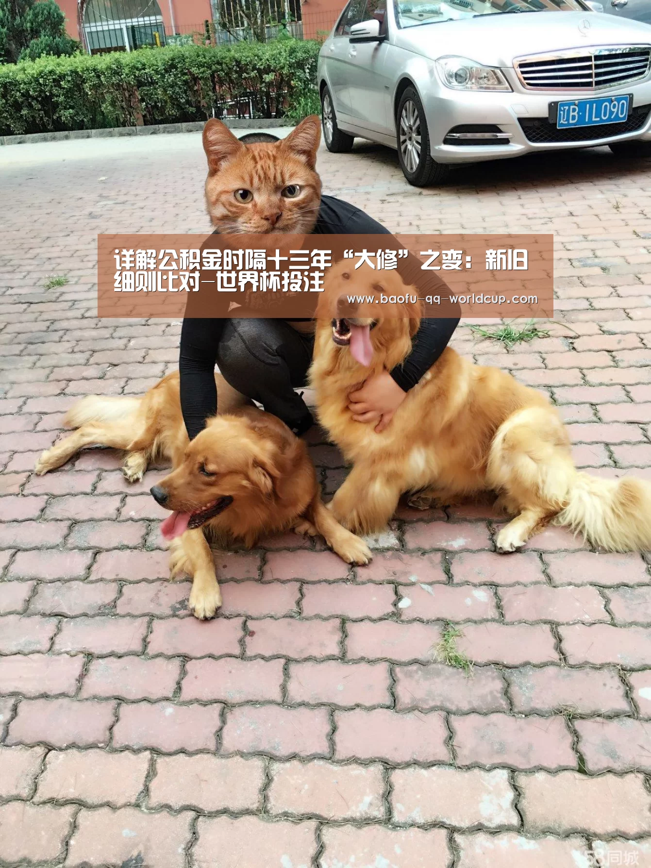 详解公积金时隔十三年“大修”之变:新旧细则比对-世界杯投注(图3) 世界杯买球网站