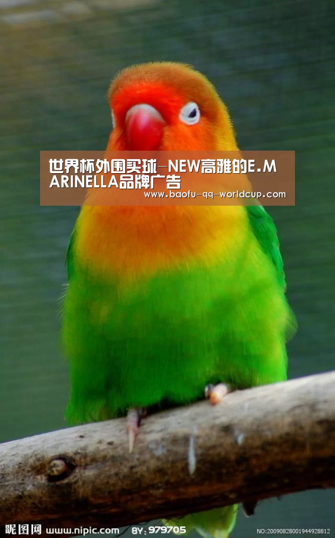 世界杯外围买球-NEW高雅的E.MARINELLA品牌广告(图1) 世界杯买球网站