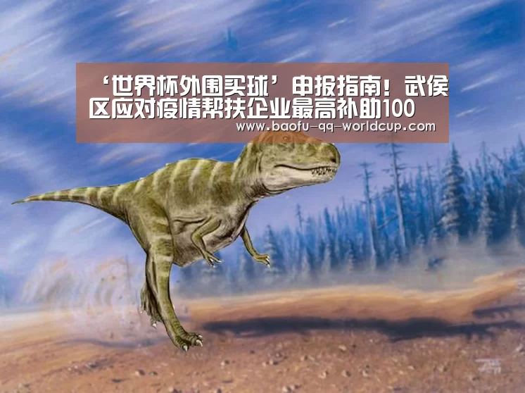 ‘世界杯外围买球’申报指南!武侯区应对疫情帮扶企业最高补助100万(图2) 世界杯投注