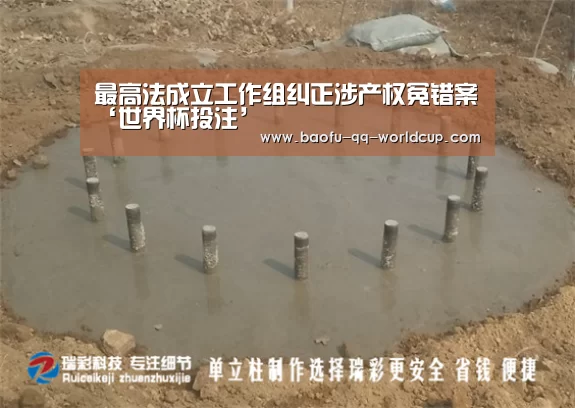 最高法成立工作组纠正涉产权冤错案‘世界杯投注’(图2) 世界杯投注