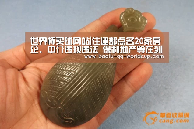 世界杯买球网站|住建部点名20家房企、中介违规违法 保利地产等在列(图4) 世界杯外围买球