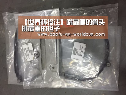 【世界杯投注】啃最硬的骨头 挑最重的担子(图2) 世界杯外围买球