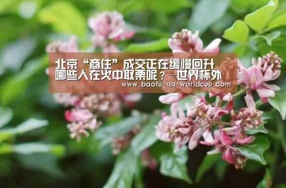 北京“商住”成交正在缓慢回升 哪些人在火中取栗呢?-世界杯外围买球(图3) 世界杯买球网站