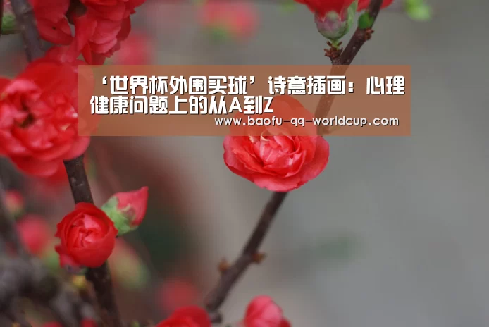 世界杯外围买球