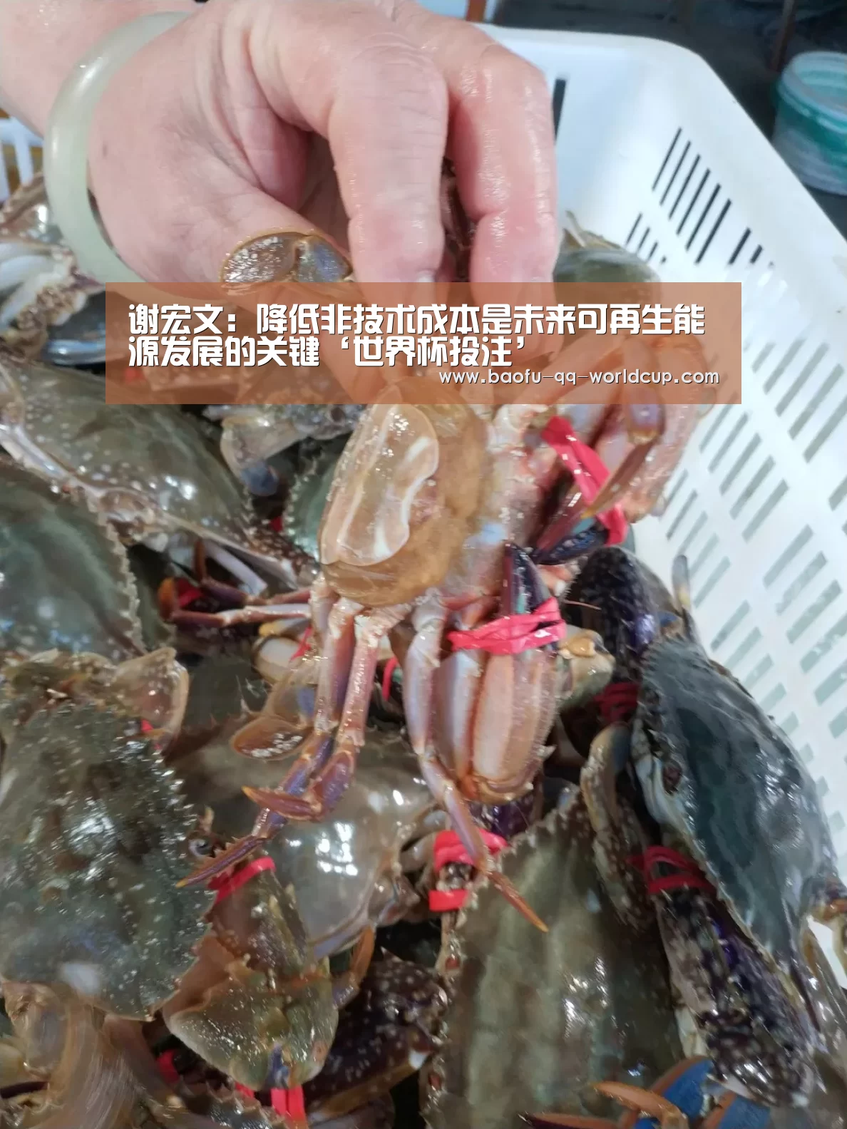 世界杯外围买球
