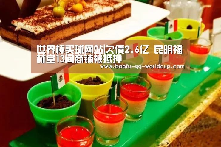 世界杯买球网站|欠债2.6亿 昆明福林堂13间商铺被抵押(图3) 世界杯投注