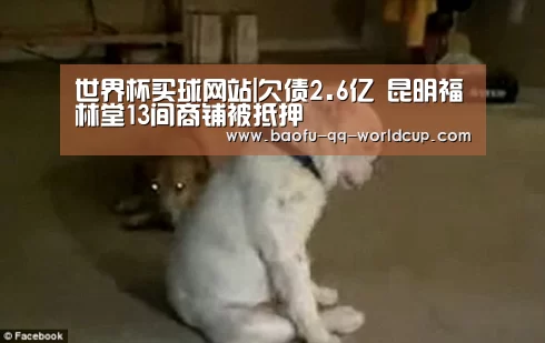世界杯买球网站|欠债2.6亿 昆明福林堂13间商铺被抵押(图2) 世界杯买球网站