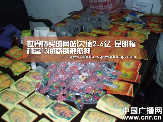 世界杯买球网站|欠债2.6亿 昆明福林堂13间商铺被抵押(图1) 世界杯外围买球