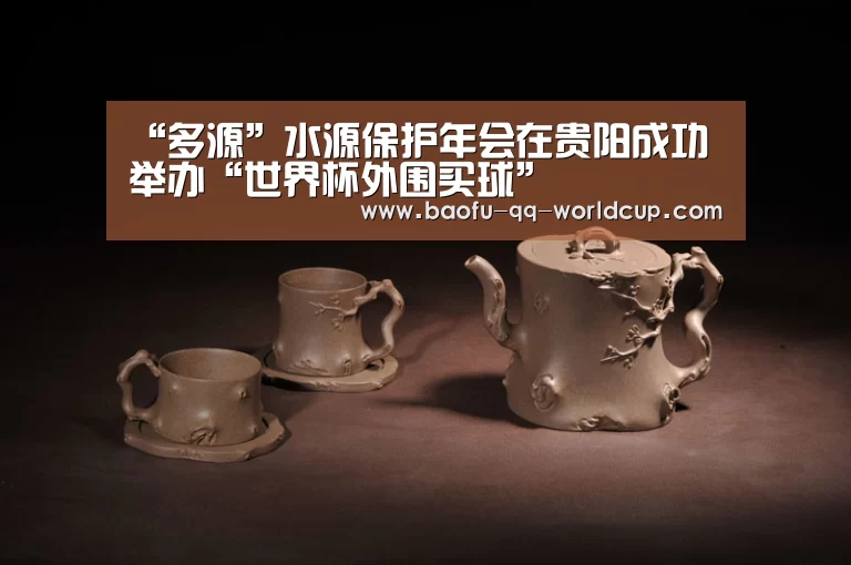 “多源”水源保护年会在贵阳成功举办“世界杯外围买球”(图3) 世界杯投注