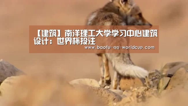 世界杯买球网站
