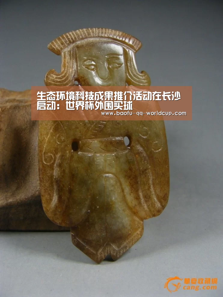 生态环境科技成果推介活动在长沙启动:世界杯外围买球(图2) 世界杯投注