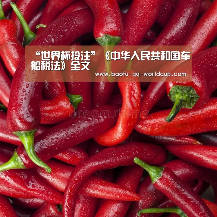 “世界杯投注”《中华人民共和国车船税法》全文(图1) 世界杯外围买球