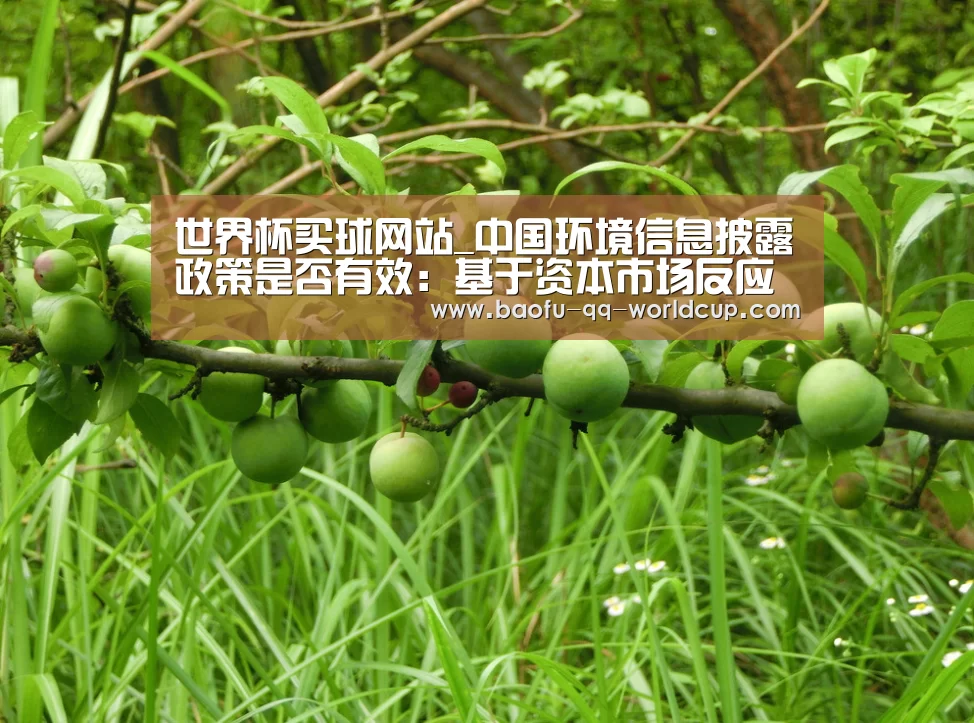 世界杯外围买球