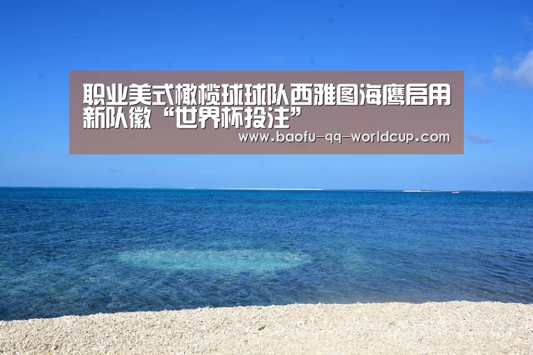 职业美式橄榄球球队西雅图海鹰启用新队徽“世界杯投注”(图1) 世界杯外围买球
