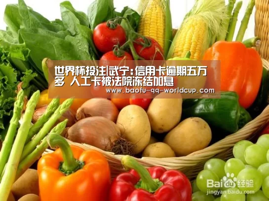 世界杯投注|武宁:信用卡逾期五万多 人工卡被法院冻结加息(图1) 世界杯投注
