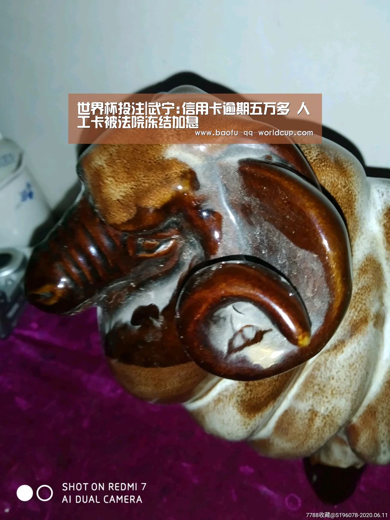 世界杯投注|武宁:信用卡逾期五万多 人工卡被法院冻结加息(图4) 世界杯买球网站