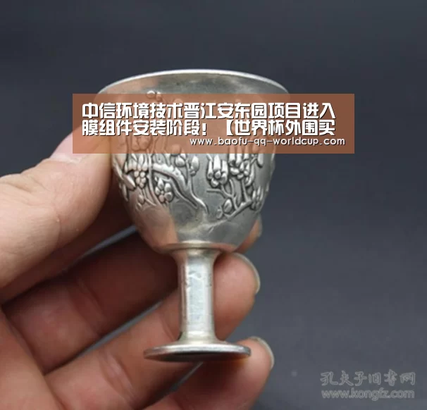 中信环境技术晋江安东园项目进入膜组件安装阶段!【世界杯外围买球】(图3) 世界杯外围买球