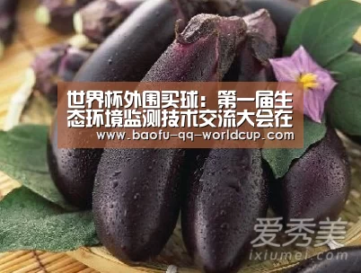 世界杯外围买球:第一届生态环境监测技术交流大会在京举行(图1) 世界杯外围买球