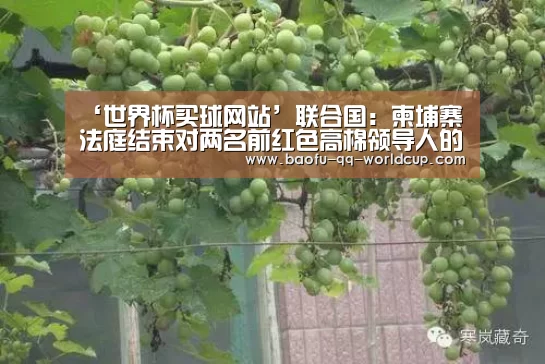 ‘世界杯买球网站’联合国:柬埔寨法庭结束对两名前红色高棉领导人的健康状况聆讯(图1) 世界杯外围买球