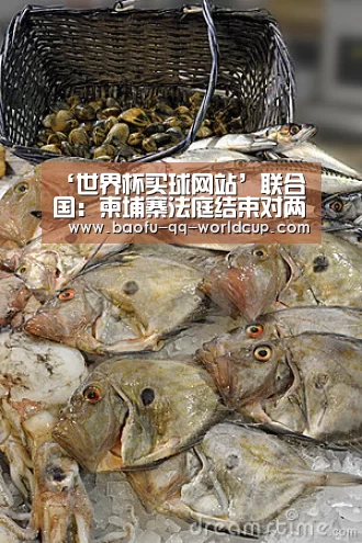 ‘世界杯买球网站’联合国:柬埔寨法庭结束对两名前红色高棉领导人的健康状况聆讯(图2) 世界杯买球网站