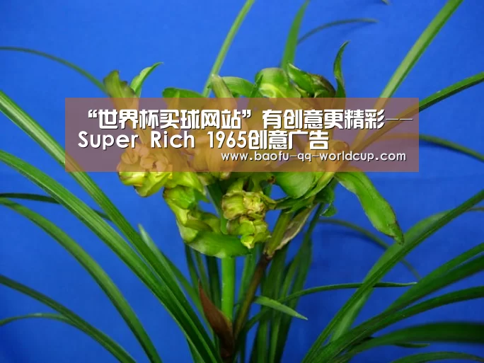 世界杯外围买球