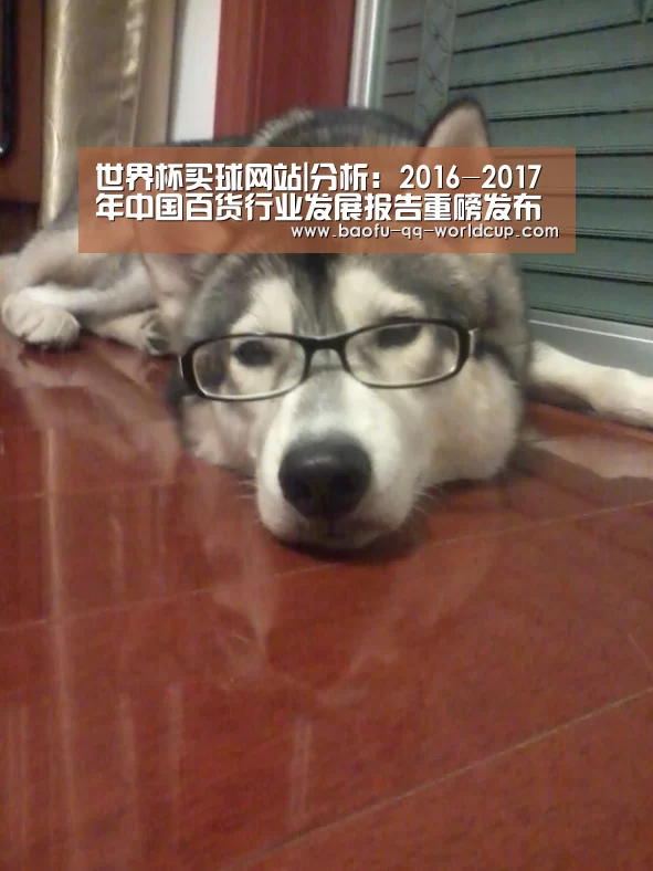 世界杯买球网站